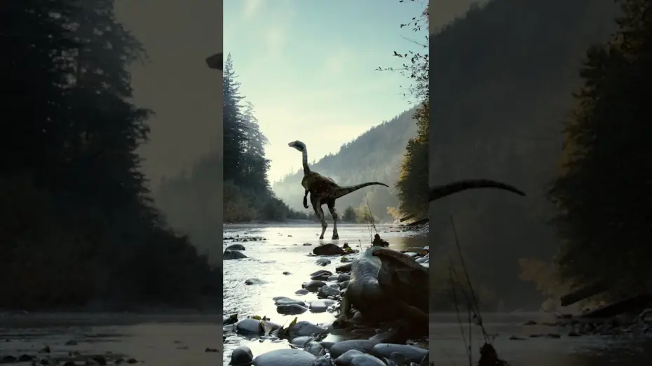 Video for the film The Tree of Life — Celebrating 15 Years