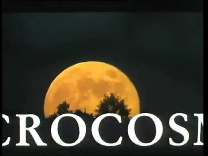 Video for the film Microcosmos — Microcosmos Le peuple de l'herbe (1996) - Bande Annonce