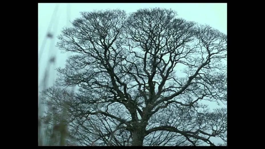 Video for the film Wuthering Heights — Official US Theatrical Trailer
