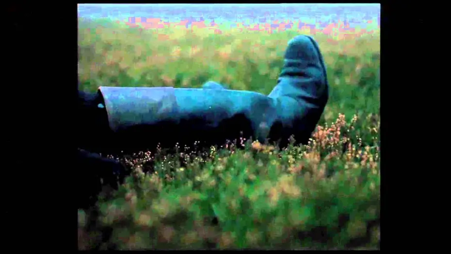 Video for the film Wuthering Heights — Clip "Mate"