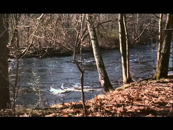 Video for the film A Civil Action — Trailer