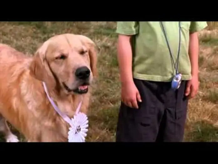 Video for the film Air Buddies — Air Bud - bande annonce