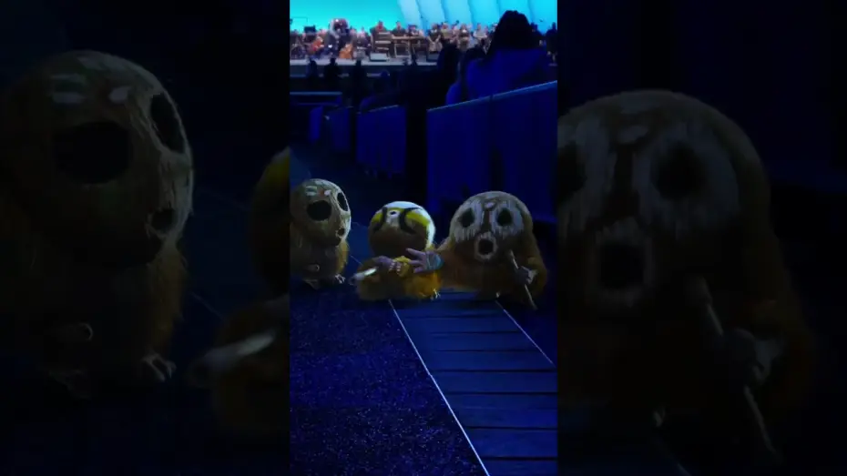 Video for the film Moana — there’s always someone