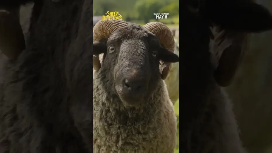 Video for the film The Sheep Detectives — Skills TV Spot