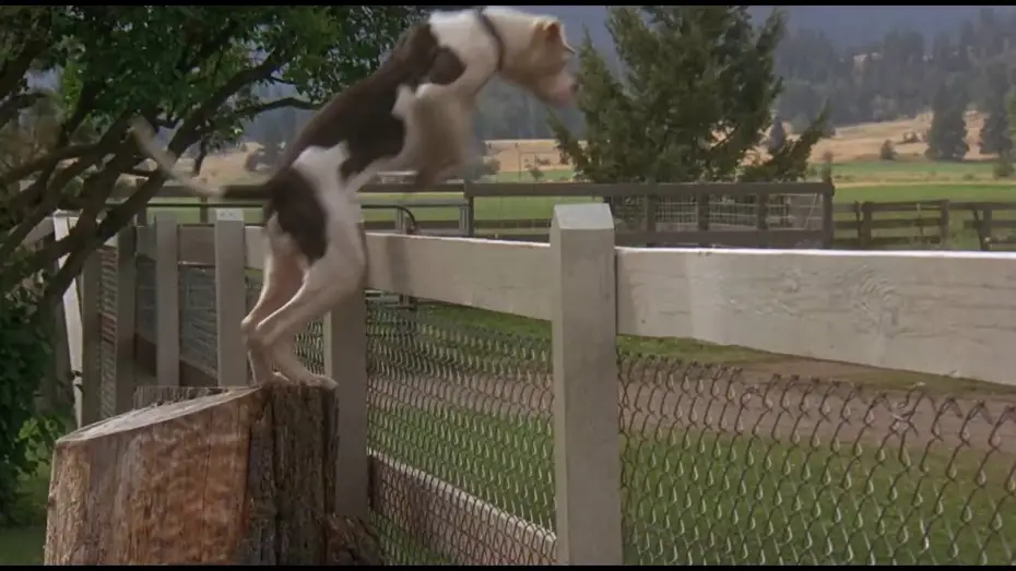 Video for the film Homeward Bound: The Incredible Journey — L'incroyable voyage - "Le monstre va me dévorer"
