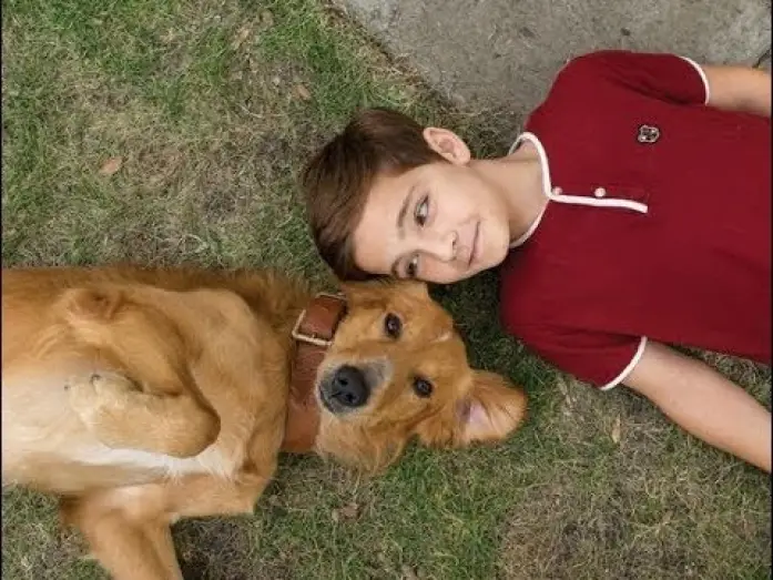 Video for the film A Dog's Purpose — Tu mejor amigo - Trailer final español (HD)