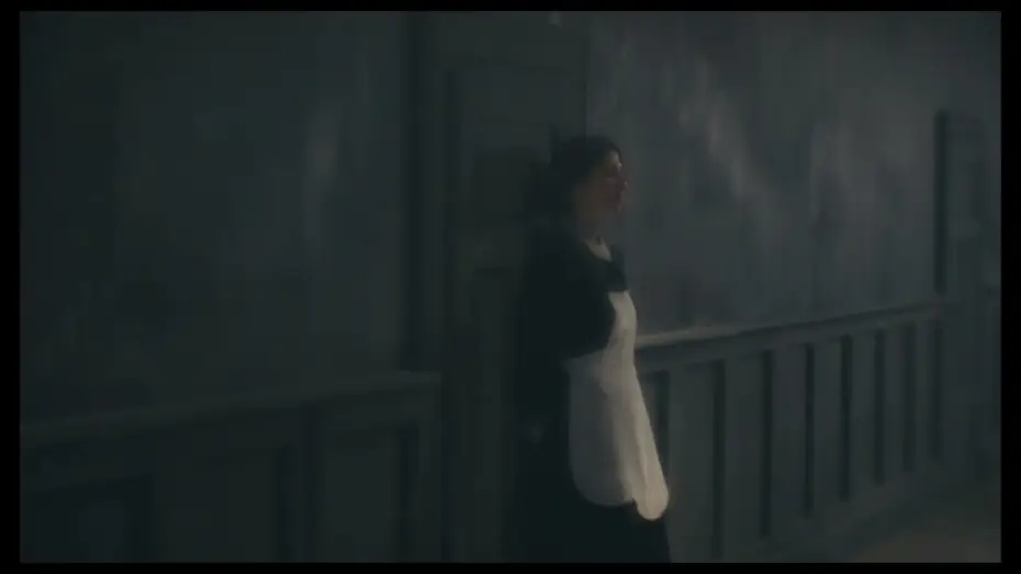 Video for the film Sanatorium Under the Sign of the Hourglass — Sanatorium Under the Sign of the Hourglass (Trailer)
