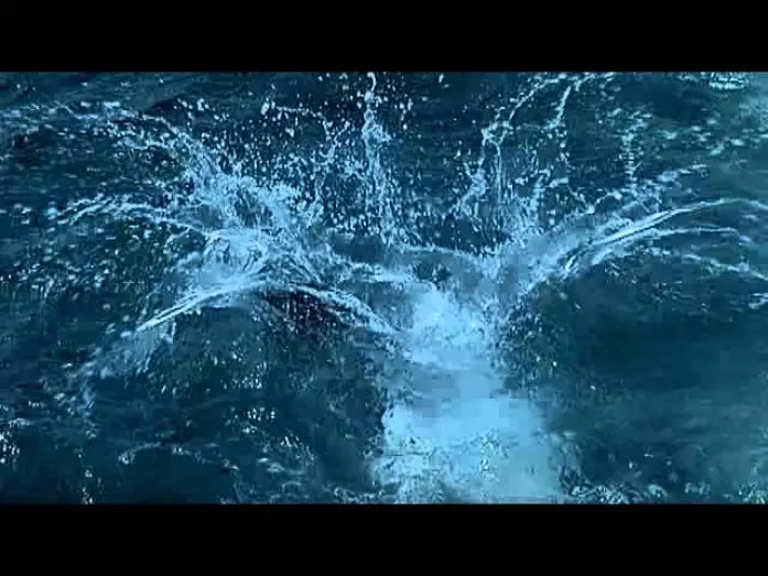 Video for the film Deep Blue — Deep-Blue - Trailer (Deutsch)