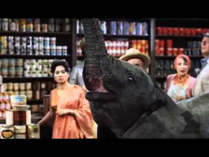 Video for the film Hatari! — Trailer Hatari!