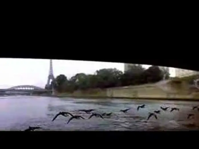 Video for the film Winged Migration — Winged Migration trailer