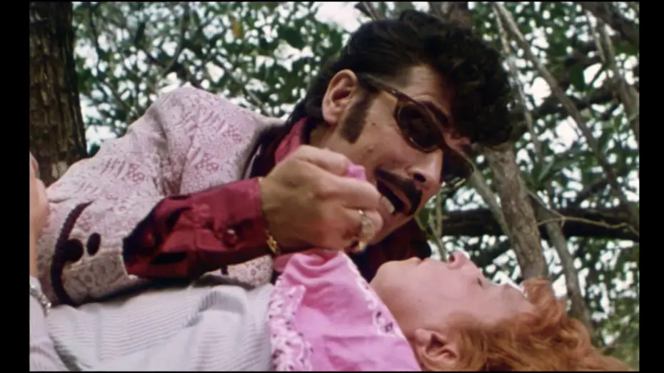 Video for the film Thieves and Robbers — Bud, der Ganovenschreck - Cane e gatto - Deutscher Originaltrailer