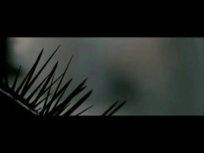 Video for the film Splinter — Splinter Trailer