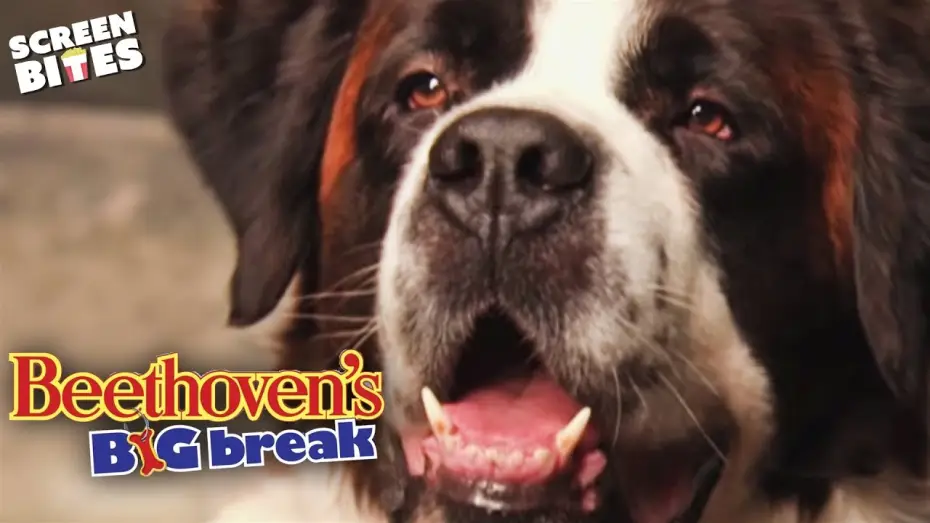 Video for the film Beethoven's Big Break — Car Chase