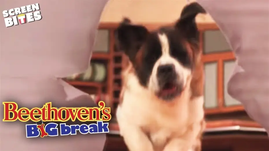 Video for the film Beethoven's Big Break — Audition scene