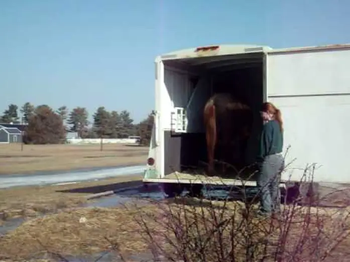 Video for the film Flicka — Flicka trailer video