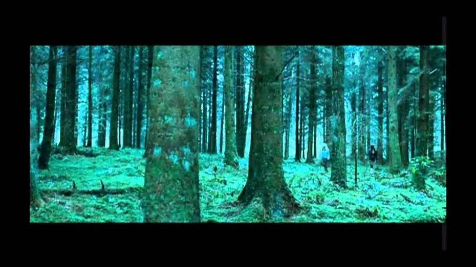 Video for the film Shrooms — Shrooms - trip senza ritorno trailer ita