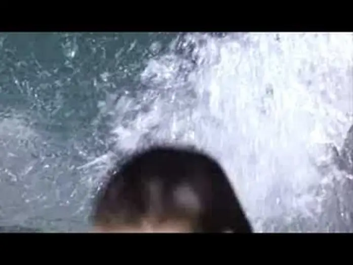 Video for the film Stealing Beauty — stealing beauty trailer