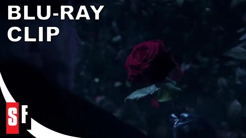 Video for the film Beauty and the Beast — The Rose [Subtitled]