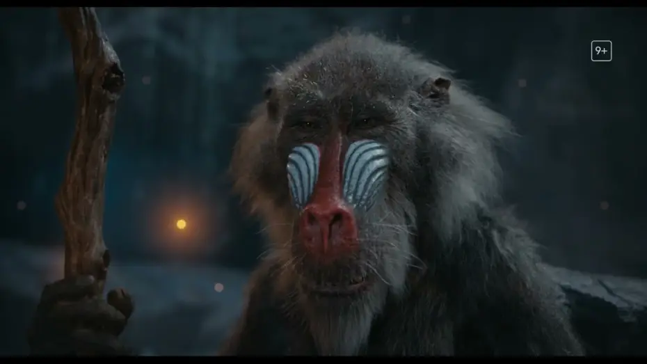 Video for the film Mufasa: The Lion King — Anuncio: 'Es la hora de contarte una historia'