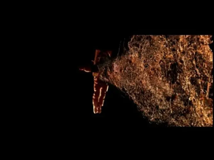 Video for the film Dante 01 — BUF - Dante 01 - Making Of