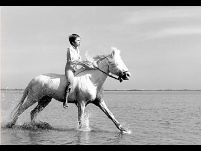 Video for the film White Mane — ¨Crin-Blanc¨ - Albert Lamorisse