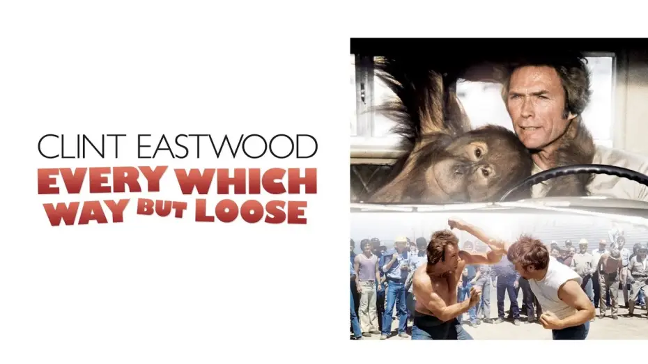 Video for the film Every Which Way but Loose — Filo da torcere (film 1978) TRAILER ITALIANO