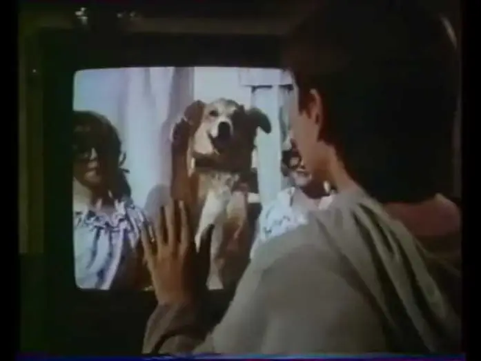 Video for the film Bingo — BINGO (1991) Bande annonce Française VHS