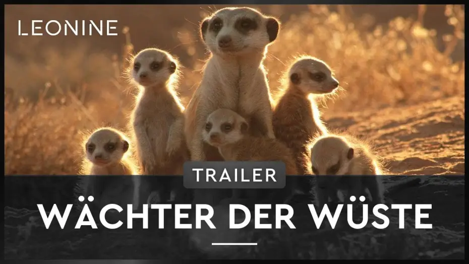 Video for the film The Meerkats — Wächter der Wüste - Trailer (deutsch/german)