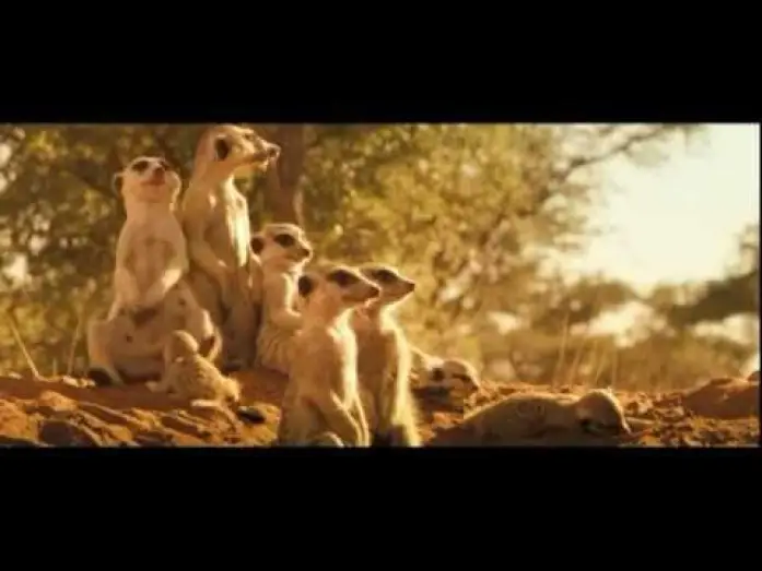 Video for the film The Meerkats — LA FAMILLE SURICATE - Bande Annonce VF
