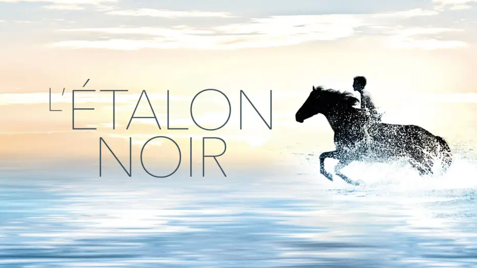 Video for the film The Black Stallion — L'Étalon noir (1979) | Bande-annonce VOSTF (HD | 1080p)