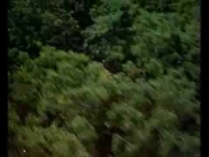 Video for the film Sunshine — Sunshine (1999) Trailer - Ralph Fiennes