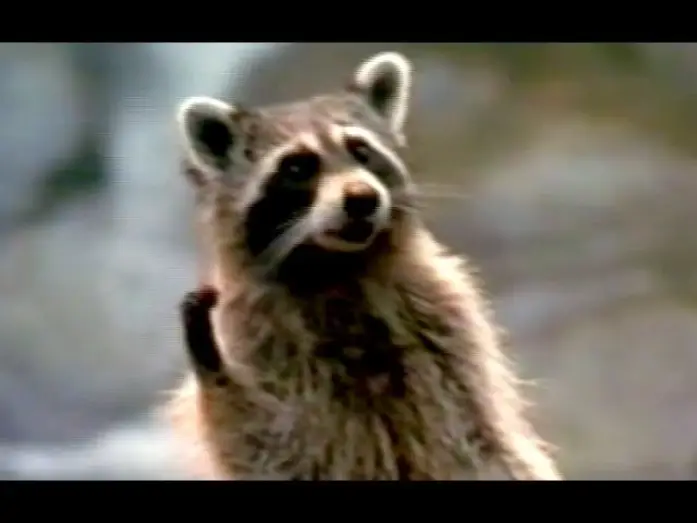 Video for the film Dr. Dolittle 2 — Dr. Dolittle 2 - Trailer (2001)
