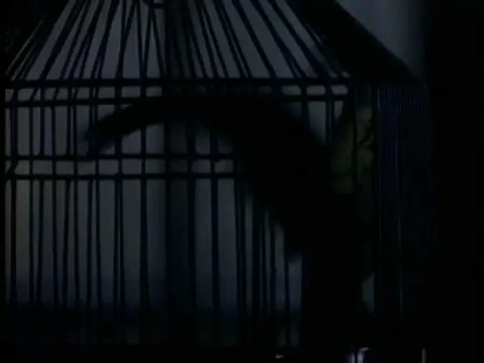 Video for the film Boxing Helena — Boxing Helena