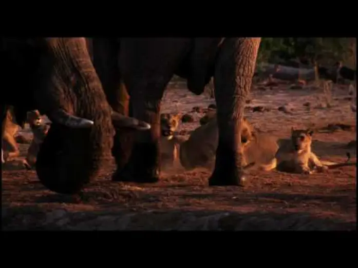 Video for the film Earth — Earth Trailer by Disney Nature (HD)