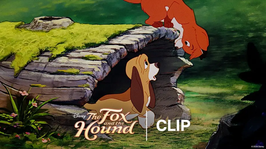 Video for the film The Fox and the Hound — Tod & Copper Meet - Official Clip
