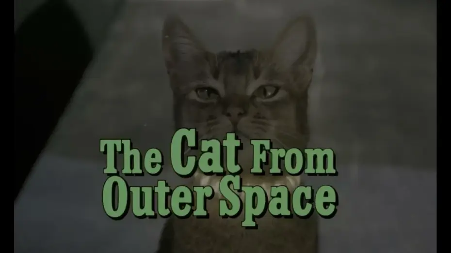 Video for the film The Cat from Outer Space — le chat qui vient de l'espace extrait 2