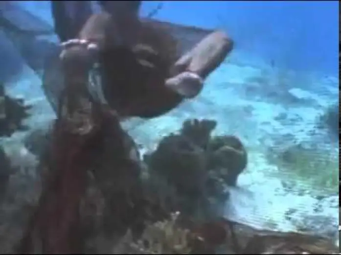 Video for the film Reef Hunters — Muro Ami