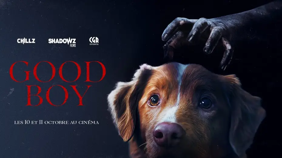Video for the film Good Boy — GOOD BOY - trailer VOSTFR