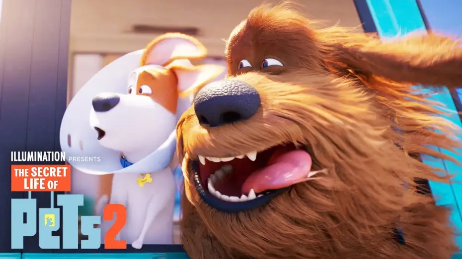 Video for the film The Secret Life of Pets 2 — Max and Duke Go on a Road Trip!