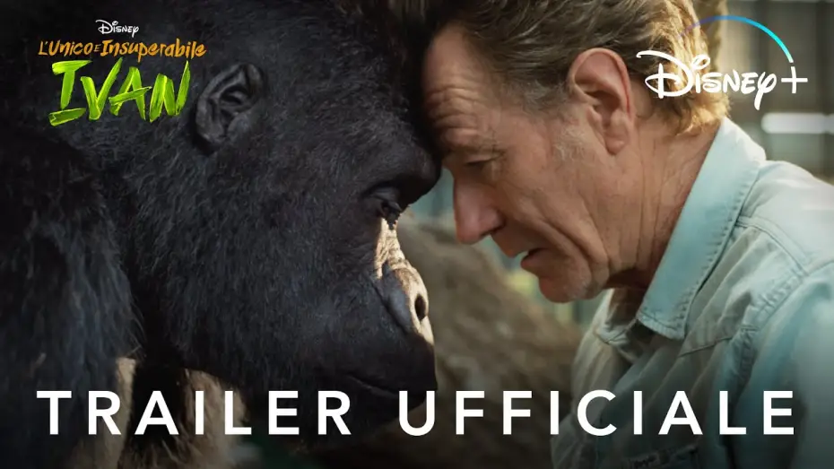 Video for the film The One and Only Ivan — Disney+ | L'Unico e Insuperabile Ivan - In Streaming In Esclusiva dall'11 Settembre