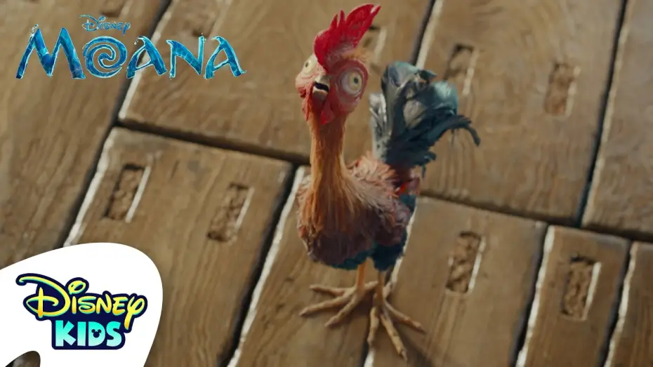 Video for the film Moana — Careful, Heihei!