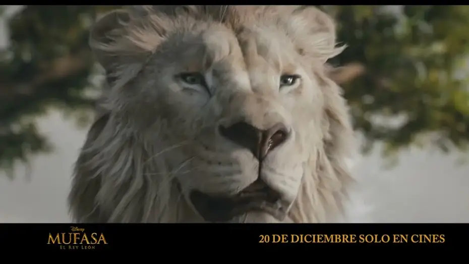 Video for the film Mufasa: The Lion King — Anuncio: 'Mufasa y Scar'
