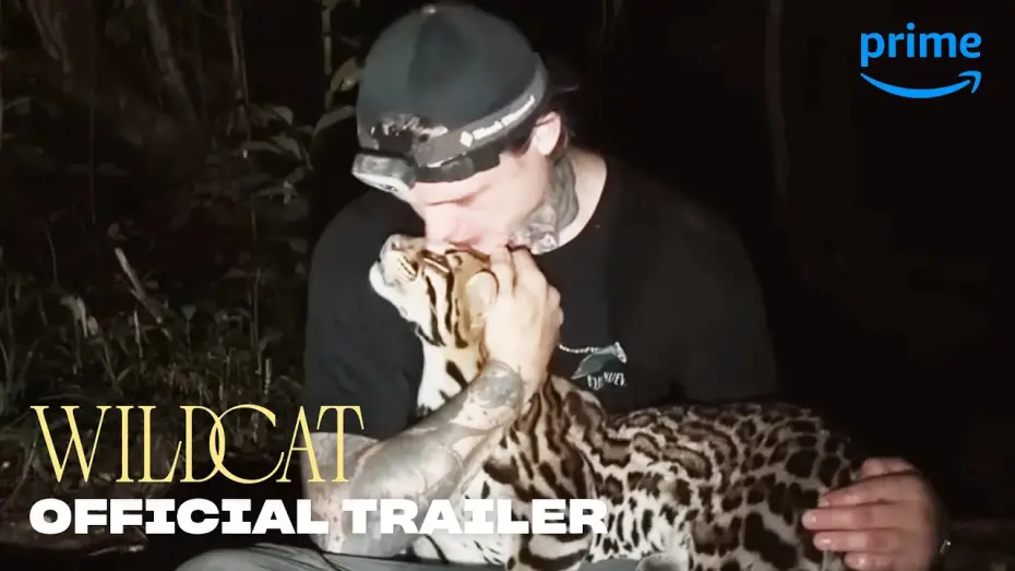 Video for the film Wildcat — Official Trailer