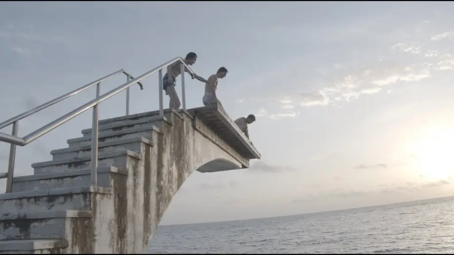 Video for the film Lupine — Lupine (2021) A film by Luca Werner | COMMAS