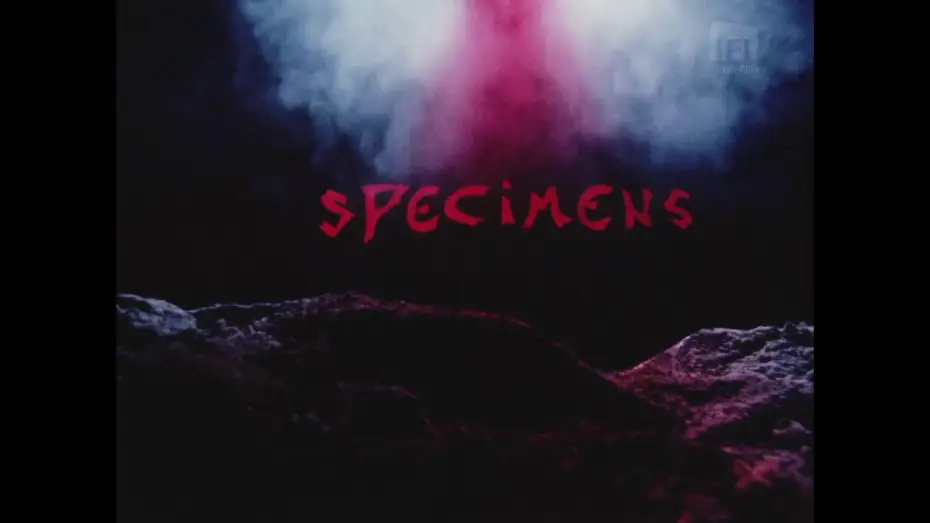 Video for the film Specimens — Roy Spence: Specimens