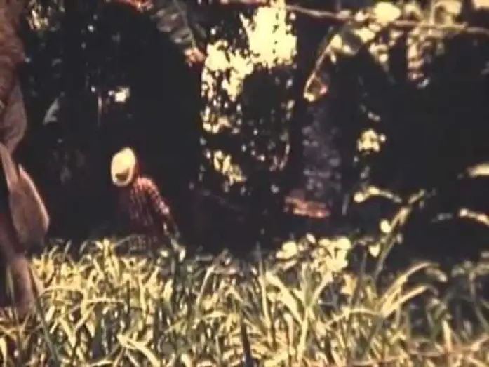 Video for the film The Bet — La Apuesta. Miguel Salguero 1968