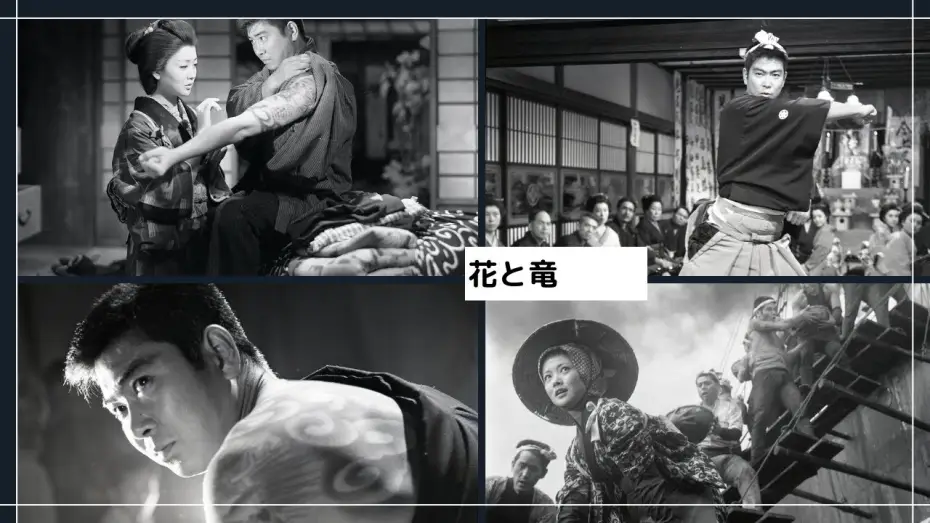 Video for the film A Man with Dragon Tattoos — 「花と竜」特報