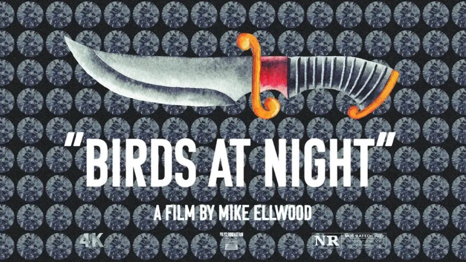 Video for the film Birds at Night — TRAILER | Birds at Night | a film by Mike Ellwood