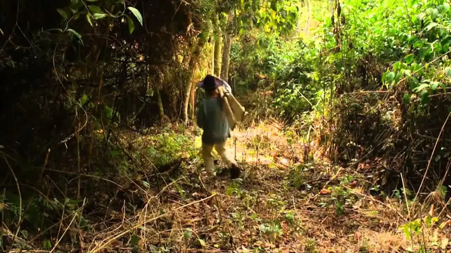 Video for the film Puerto Paticuá — Puerto Paticuá (2015) [Trailer]