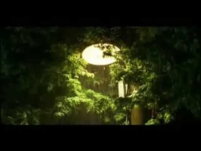 Video for the film You Are My Sunshine — You Are My Sunshine trailer